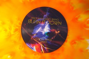 Burn It Down (09)